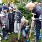 Święto Drzewa